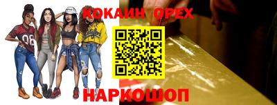 МДПВ Кингисепп