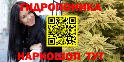 кокс Кинель