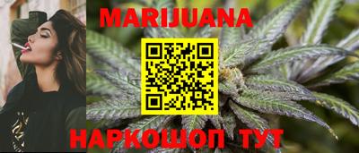 МДПВ Кингисепп