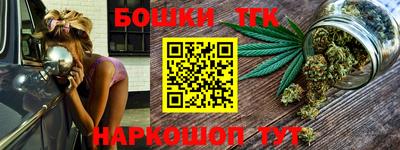 МДПВ Кингисепп