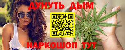 МДПВ Кингисепп